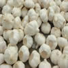 China Fresh Garlic company