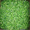 China IQF Green Pepper Diced company
