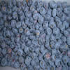 China IQF Blueberry Wild company