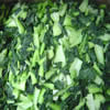 China IQF Bok Choy company