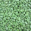 China IQF Broad Beans Green skin company