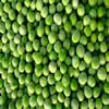 China IQF Green Peas company