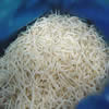 China IQF Mung Bean Sprout company