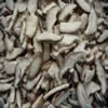 China IQF Shiitake Mushroom Slices & Quarters company