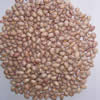China Light Speckled Kidney Beans(Round shape) company