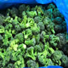 China Organic Broccoli company