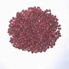 China Small Red Kidney Beans company