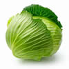China Fresh Cabbage company