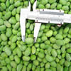 China Organic Soybean Kernels company
